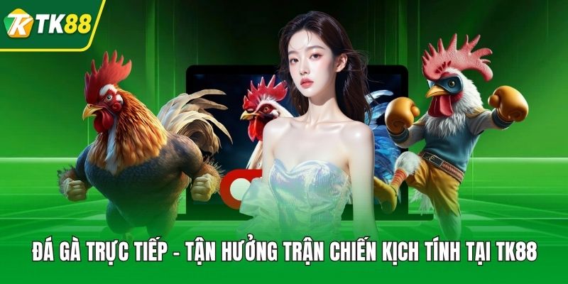 Đá Gà Trực Tiếp
